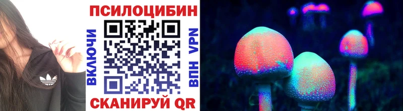 Псилоцибиновые грибы MAGIC MUSHROOMS  Купить где  Шумерля 